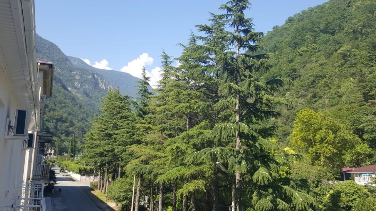 Guest House Gorny Ruchei Гагра Екстериор снимка